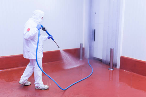 Best Warehouse Cleaning  in Lake San Marcos, CA